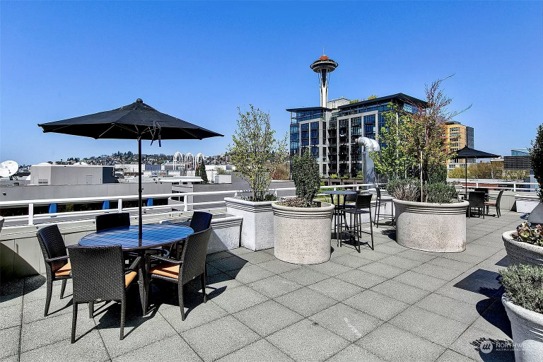 Terrace 1